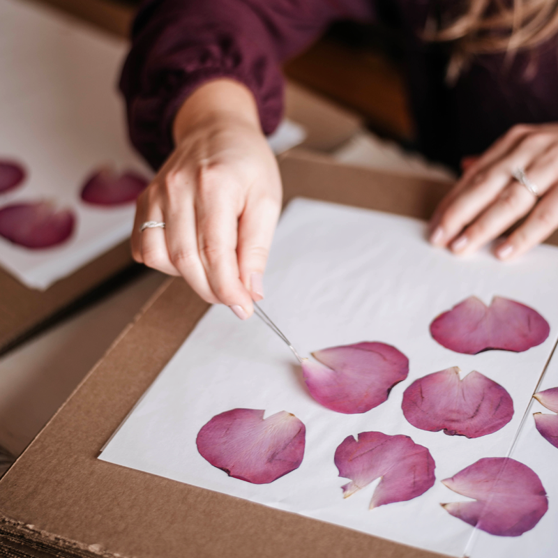 PreservePetals-4 PreservePetals-4
